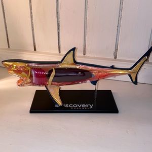 Discovery Channel Anatomical Shark